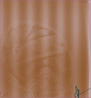 Shroud of Black Dragonfish